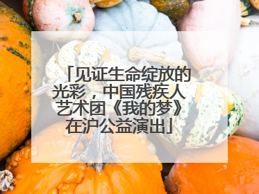 见证生命绽放的光彩，中国残疾人艺术团《我的梦》在沪公益演出