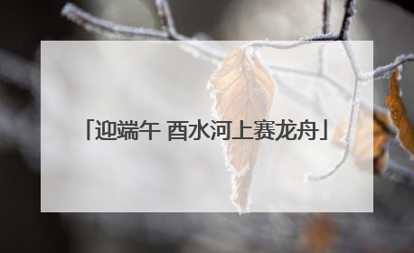迎端午 酉水河上赛龙舟