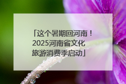 这个暑期回河南！2025河南省文化旅游消费季启动