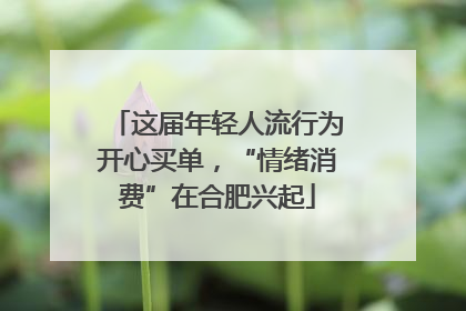 这届年轻人流行为开心买单，“情绪消费”在合肥兴起