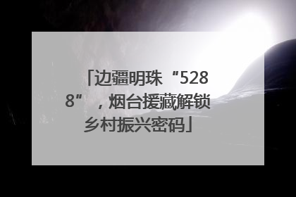 边疆明珠“5288”，烟台援藏解锁乡村振兴密码