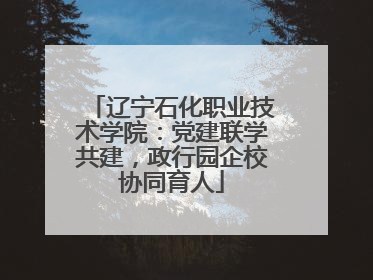 辽宁石化职业技术学院：党建联学共建，政行园企校协同育人