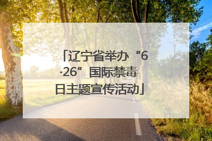 辽宁省举办“6·26”国际禁毒日主题宣传活动