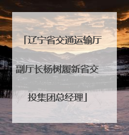 辽宁省交通运输厅副厅长杨树履新省交投集团总经理
