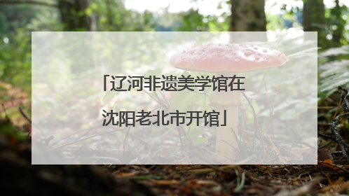 辽河非遗美学馆在沈阳老北市开馆
