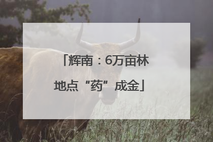 辉南：6万亩林地点“药”成金