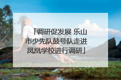 调研促发展 乐山市少先队鼓号队走进凤凰学校进行调研
