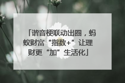 谐音梗联动出圈，蚂蚁财富“指数+”让理财更“加”生活化