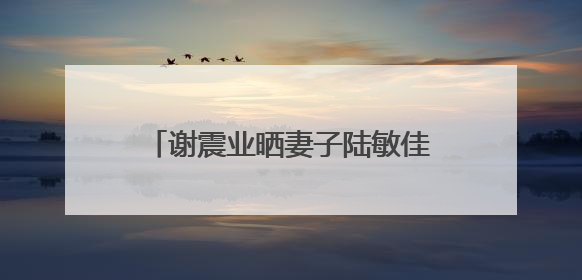 谢震业晒妻子陆敏佳孕肚照官宣喜讯：记录下第一个父亲节