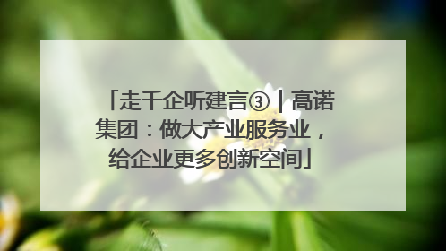走千企听建言③｜高诺集团：做大产业服务业，给企业更多创新空间
