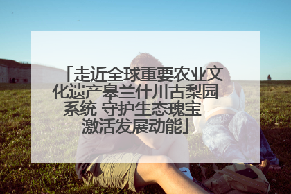 走近全球重要农业文化遗产皋兰什川古梨园系统 守护生态瑰宝 激活发展动能