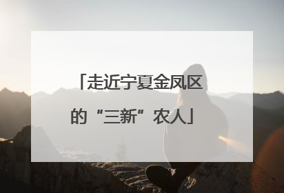 走近宁夏金凤区的“三新”农人