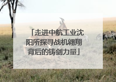 走进中航工业沈阳所探寻战机翱翔背后的铸剑力量