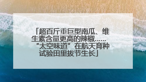 超百斤重巨型南瓜、维生素含量更高的辣椒……“太空味道”在航天育种试验田里拔节生长