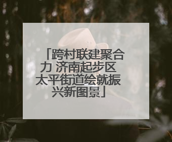 跨村联建聚合力 济南起步区太平街道绘就振兴新图景