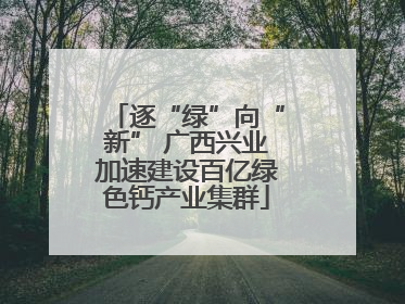 逐“绿”向“新” 广西兴业加速建设百亿绿色钙产业集群