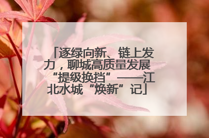 逐绿向新、链上发力，聊城高质量发展“提级换挡”——江北水城“焕新”记