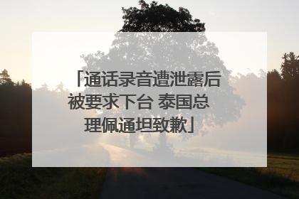 通话录音遭泄露后被要求下台 泰国总理佩通坦致歉