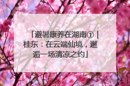 避暑康养在湖南①｜桂东：在云端仙境，邂逅一场清凉之约