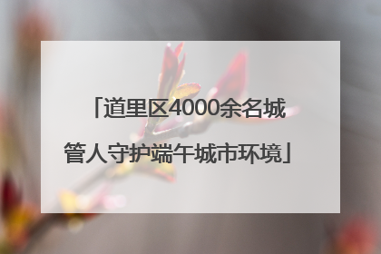 道里区4000余名城管人守护端午城市环境