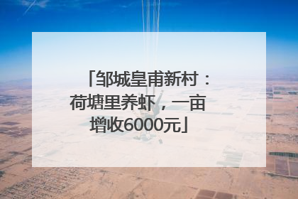 邹城皇甫新村：荷塘里养虾，一亩增收6000元