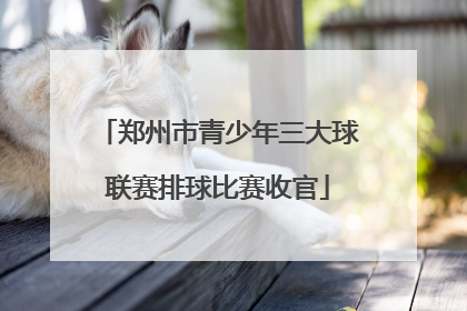 郑州市青少年三大球联赛排球比赛收官