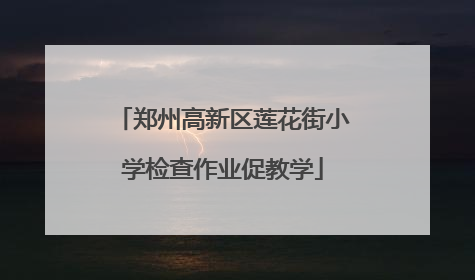 郑州高新区莲花街小学检查作业促教学