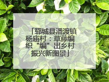 郓城县潘渡镇杨庙村：草藤编织“编”出乡村振兴新图景