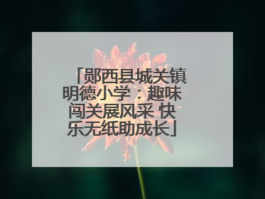 郧西县城关镇明德小学：趣味闯关展风采 快乐无纸助成长
