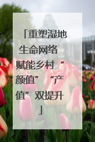 重塑湿地生命网络 赋能乡村“颜值”“产值”双提升
