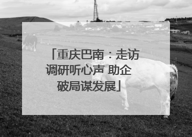 重庆巴南：走访调研听心声 助企破局谋发展
