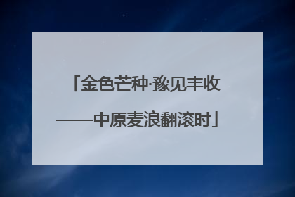 金色芒种·豫见丰收——中原麦浪翻滚时