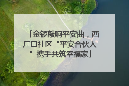金锣敲响平安曲，西厂口社区“平安合伙人”携手共筑幸福家