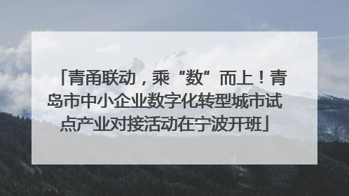 青甬联动，乘“数”而上！青岛市中小企业数字化转型城市试点产业对接活动在宁波开班