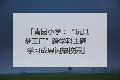 青园小学：“玩具梦工厂”跨学科主题学习成果闪耀校园