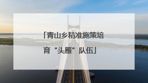 青山乡精准施策培育“头雁”队伍