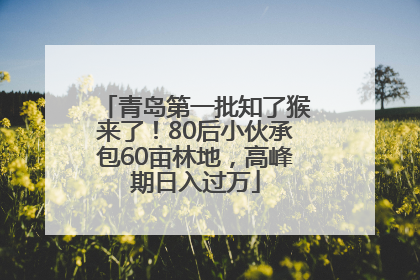 青岛第一批知了猴来了！80后小伙承包60亩林地，高峰期日入过万