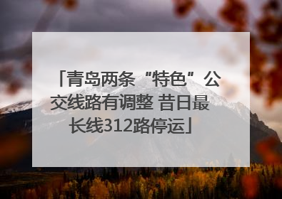 青岛两条“特色”公交线路有调整 昔日最长线312路停运