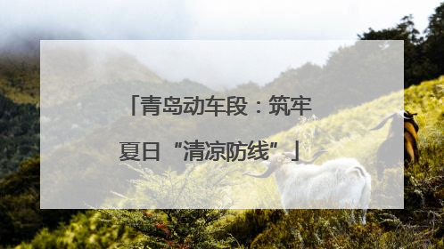 青岛动车段：筑牢夏日“清凉防线”