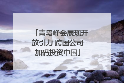 青岛峰会展现开放引力 跨国公司加码投资中国