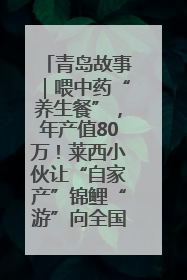 青岛故事｜喂中药“养生餐”，年产值80万！莱西小伙让“自家产”锦鲤“游”向全国