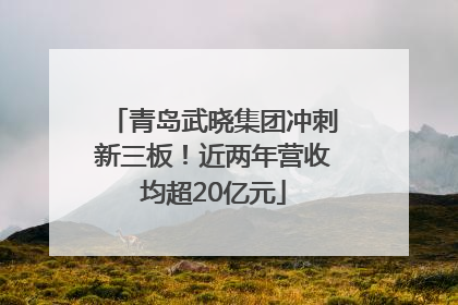 青岛武晓集团冲刺新三板！近两年营收均超20亿元