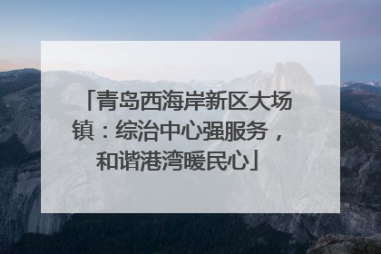 青岛西海岸新区大场镇：综治中心强服务，和谐港湾暖民心
