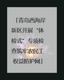 青岛西海岸新区开展“体检式”专项检查筑牢农民工权益防护网