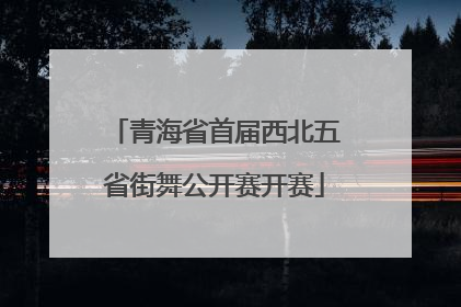 青海省首届西北五省街舞公开赛开赛