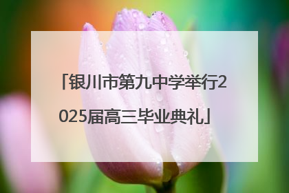 银川市第九中学举行2025届高三毕业典礼