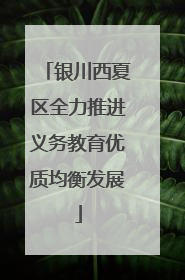 银川西夏区全力推进义务教育优质均衡发展