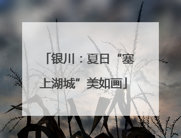 银川：夏日“塞上湖城”美如画