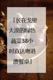 长在戈壁大漠的绿色蔬菜38小时直达粤港澳餐桌