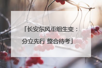 长安东风重组生变：分立先行 整合待考
